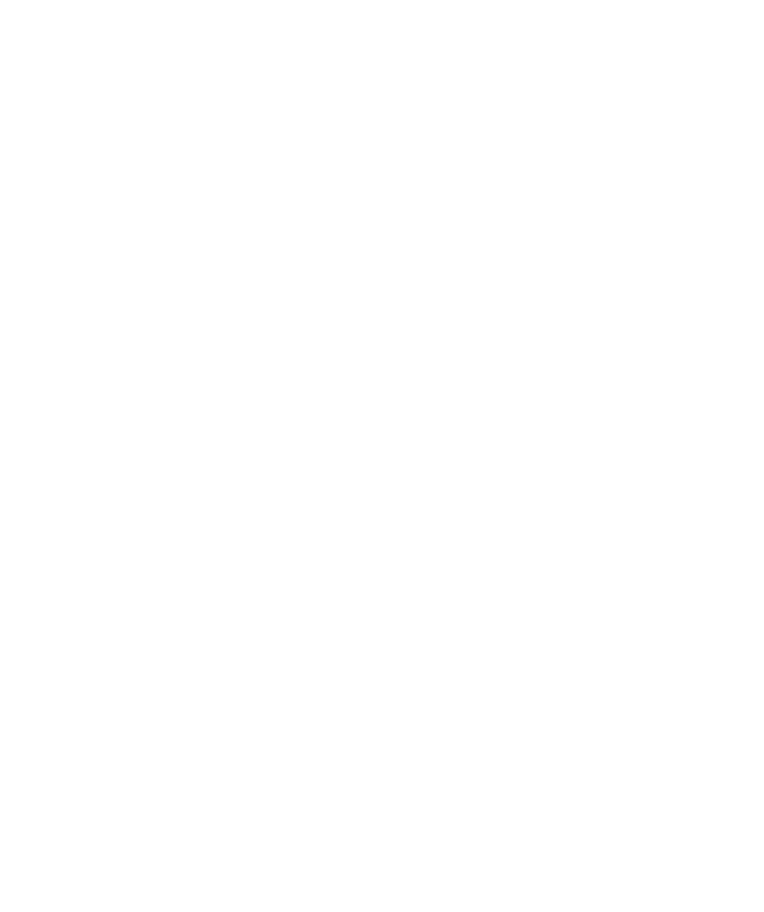 Logo Blanc - Brasserie La Frontière